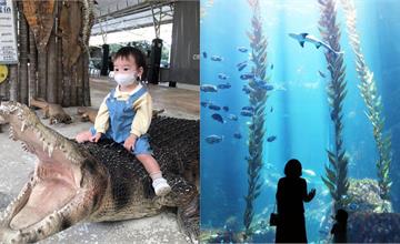  屏東｜親子景點TOP6：鱷魚餵食秀、鐵道迷的最愛、摘下米其林三星的海洋景點通通有！