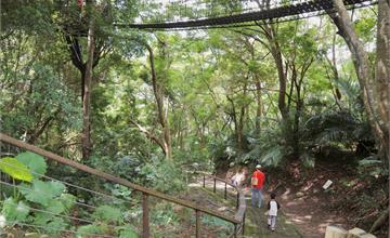 桃園｜巴陵古道生態園區：親子登山去，走訪泰雅部落古道、四大生態館，必訪絕美森林吊橋