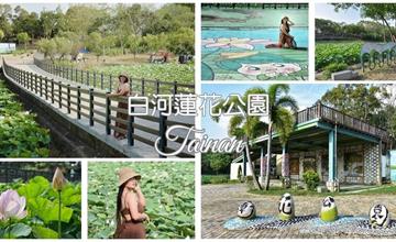 台南｜白河蓮花公園：季節限定花海！大片粉嫩蓮花和綠葉隨風搖曳，木製廊道、景觀平台超好拍