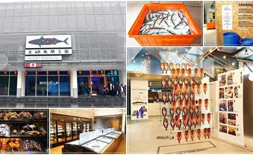 宜蘭｜大鯖魚夢工廠：蘇澳室內景點，互動體驗鯖魚生態故事，超多娛樂設施、美食，玩一整天都OK