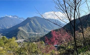 南投｜郡大山登山懶人包：3小時輕鬆攻頂！新手也能征服的台灣百岳