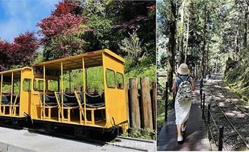 宜蘭｜太平山森林遊樂區：搭乘蹦蹦車穿梭幽靜森林，走訪茂興懷舊步道，感受治癒芬多精