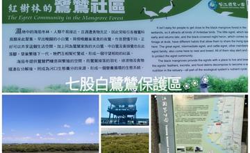 台南｜七股紅樹林保護區：三層樓視野極佳觀鳥亭，俯瞰壯觀白鷺鷥群，傍晚觀賞海灘浪漫夕陽