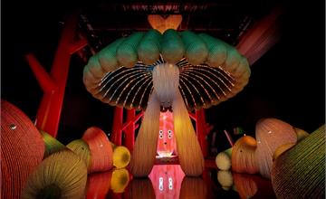 新北｜AI靈感大師澳洲3D光影觸動樂園：誠品生活新店實驗場首開展覽，沉浸式體驗冒險趣