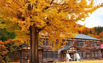 日本｜福島10大秋遊景點懶人包：在寺廟、湖泊前欣賞楓葉、銀杏，紅黃地毯都超美麗