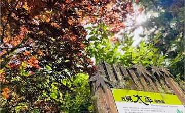 宜蘭｜太平山森林遊樂區：太平山玩什麼？不能錯過6大景點、日出資訊總整理