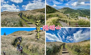 台北｜陽明山七星山步道：季節限定壯觀芒草花海，群山層層堆疊，360度取景無死角