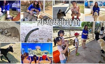 屏東｜小琉球海洋館：3D彩繪區、可愛動物區、海洋生物區，觸摸體驗超療癒!
