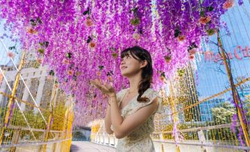 甜蜜浪漫交織耶誕城 七大絕美光廊搶先看