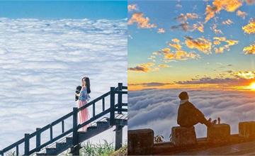 嘉義｜阿里山7個賞雲海景點推薦：絕美雲瀑彷彿在仙境；還有日出、神木秘境、夕陽景觀一次收齊！