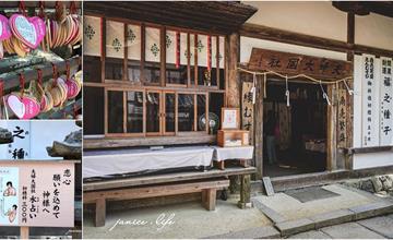 京都｜夫婦大國社：奈良神社水占卜太神奇～結上幸福良緣牽繫彼此緣份， 祈願找到另一半