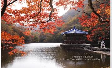 韓國｜內藏山國立公園：韓國第一楓葉山！走進滿山楓紅美景，感受濃厚秋意