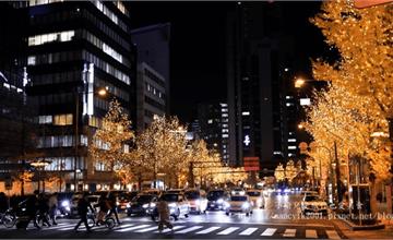 日本｜2023大阪光之饗宴：御堂筋彩燈、大阪光之文藝復興，整條街都有浪漫夜景！冬季關西旅遊必訪