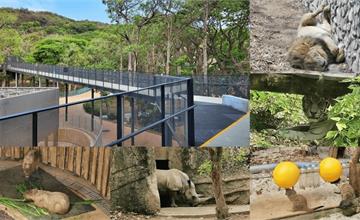 高雄｜鼓山壽山動物園：現場購票免預約攻略！造訪全新天空步道，親子旅遊看小動物好療癒