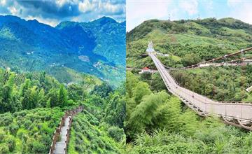 嘉義｜梅山15個必去景點：從秘境茶園、超親民新手步道到全台最高吊橋，一日遊玩遍梅山仙境！