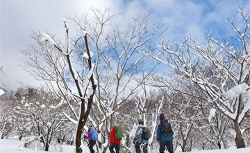 冬季旅遊勝地「城崎溫泉」玩雪、泡湯、螃蟹應有盡有