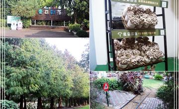 彰化｜魔菇部落休閒農場：埔心最棒的親子園區，超有趣的香菇主題，小孩不想回家了！ 