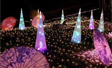 日本｜12月到京都 感受璀璨冬夜的浪漫