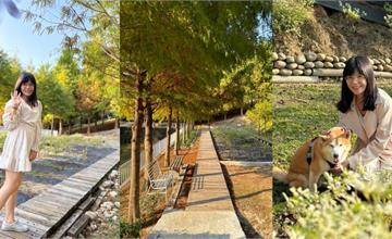 台中｜普羅旺斯庭園餐廳：新社最夯景觀餐廳，超美白雪木與落羽松秘境，彷彿置身小歐洲