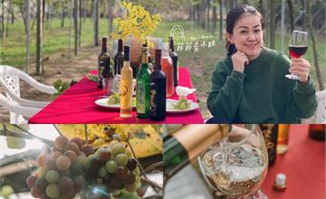 台中｜酒堡庄：占卦釀出葡萄酒太特別～葡萄園樹下品酒、喝下午茶，猶如置身歐洲酒莊