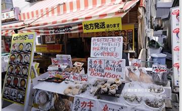 日本北海道｜函館朝市：體驗釣烏賊、品嘗新鮮便宜日式海鮮料理！感受日本早市魅力