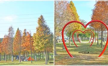 桃園｜大溪河濱公園：6.9公頃大草坪，冬季限定落羽松林，串接球場、湖濱棧道、遊樂設施