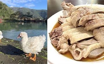 宜蘭員山｜望龍埤鵝肉攤：鵝湯麵、炒米粉20元吃到飽！鵝肉鮮甜熱炒美味，再到湖畔散步看水鴨
