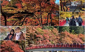 日本香嵐溪賞楓半日遊！秋冬限定楓紅美景，欣賞山谷4000棵楓樹宛若紅霞！