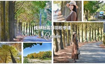 雲林｜桂林村落羽松大道：冬季限定秘境！沿著落羽松小徑，享受鄉間清幽自在