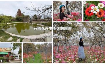 台中｜芬園花卉生產休憩園區：一秒變身花花仙子！滿園百日草、波斯菊熱情綻放必打卡