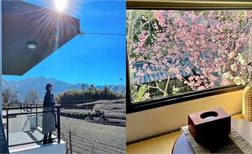 阿里山｜13間景觀住宿推薦：海拔最高星級酒店、森林系、歐風小屋，享受櫻花和日出美景！