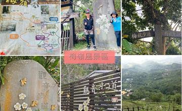 台南｜梅嶺風景區：必訪梅嶺知名步道群，一路賞梅、登山、健走，多重享受一次滿足！