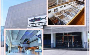 宜蘭｜大鯖魚夢工廠：蘇澳觀光工廠推薦，魚超市、餐廳、手作、展覽，有吃有玩還免門票