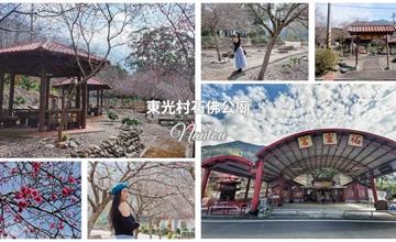 南投｜石佛公櫻花：享受東光村靜謐悠閒步調！藏身廟宇後的綺麗櫻花林