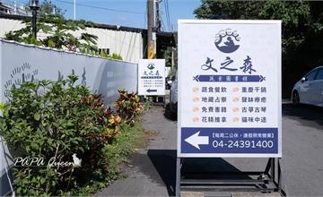 台中｜文之森蔬食餐飲圖書館：猶如置身森林的素食鍋物、乾鍋餐廳，寵物友善、無時間限制