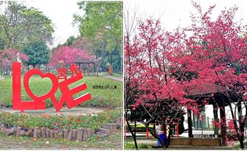 桃園｜莒光環保公園：不用到日本就能賞八重櫻！花滿壓枝頭，涼亭、小橋處處詩情畫意