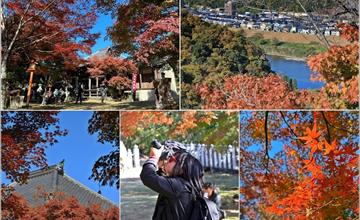 日本愛知｜寂光院：登300階石階賞千棵楓紅！遠眺犬山城，參拜日本神社