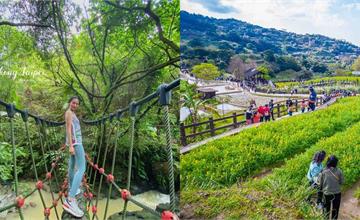 台北｜貓空8條特色步道：搭捷運就能到，輕鬆賞魯冰花、茶園景觀！