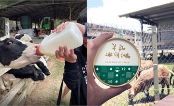 全台｜13間免門票親子農場推薦：豐富的自然生態、與動物近距離接觸，還有DIY課程可以參加！