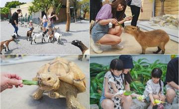 宜蘭｜回巢Homing：親子假日出遊推薦！與山羊、狐獴、天竺鼠近距離互動，還有免費室內設施