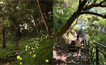 2025北部7條賞螢火蟲步道推薦：搭捷運就能到，還有免費生態導覽活動！