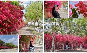 台中｜東大公園：綿延200公尺九重葛花牆綺麗綻放！嫣紅色季節限定美景必打卡