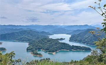 新北｜鱷魚島觀景台：藏在石碇的山中秘境，翻山越嶺驚險茶園小道，遼闊視野盡收眼底！