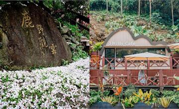 苗栗桐花祭4/19開跑！賞花步道＋順遊景點一日遊行程推薦
