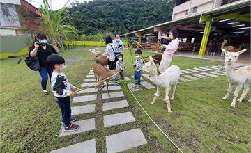 宜蘭｜心花鹿Fun農場：梅花湖畔大片綠地，近距離接觸鹿、羊駝、兔子，冬山親子景點推薦