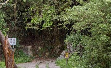 嘉義｜特富野古道：沿鄒族古徑深入水山線鐵路與柳杉林！特富野部落必走步道