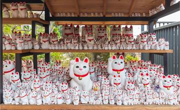 日本｜東京豪德寺散策：搭乘「福の招き猫電車」拜訪招財貓聖地！上千隻招財貓招福氣