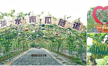 新北｜淡水南瓜隧道：五色南瓜繽紛蔓延400公尺！春季限定淡水免費景點，快來拍美照、買南瓜！