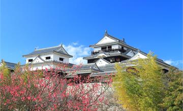日本｜超前佈署！台灣遊客旅日平均提前近三個月開始預訂住宿　遊日回訪更深度、二線城市及地方特色景點旅遊比例增
