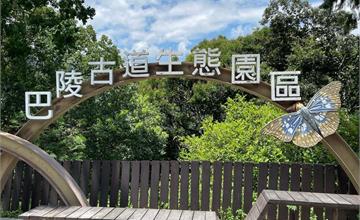 桃園｜巴陵古道生態園區：走入泰雅族舊時部落通道，優遊森林秘境，來場親子生態之旅